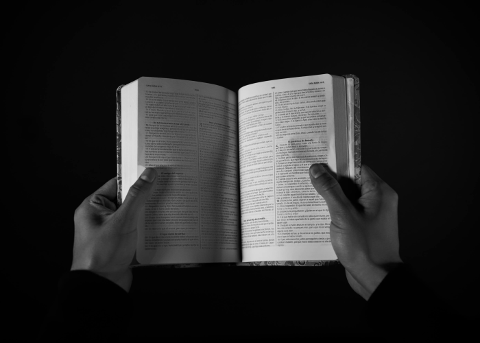 房卡必备教程“新道游金花在哪买房卡”详细房卡使用教程 房卡必备教程“新道游金花在哪买房卡”详细房卡使用教程