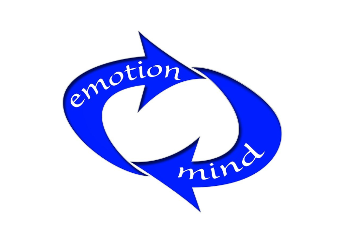 青岛1中最新消息,创新课程体系与智慧校园建设引领教育新风尚 青岛1中最新消息,创新课程体系与智慧校园建设引领教育新风尚