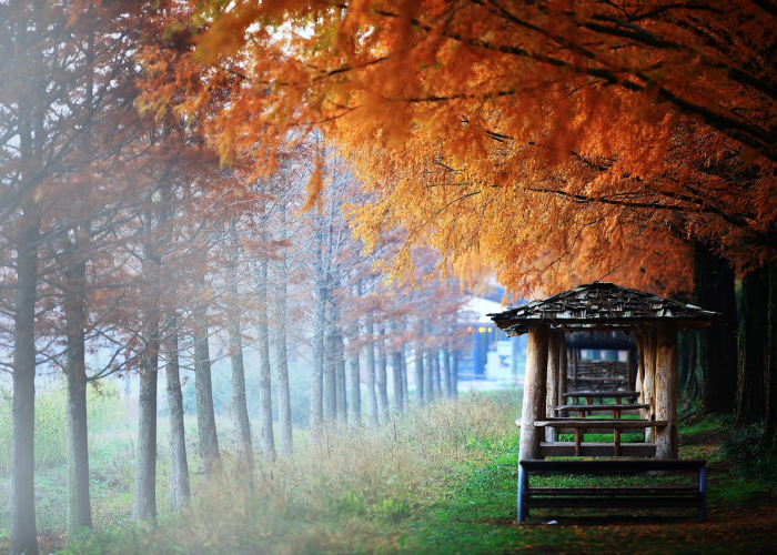 成都解封记,2021年,那座城市与希望重逢的秋天 成都解封记,2021年,那座城市与希望重逢的秋天