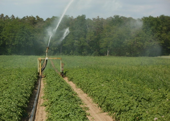 秒懂百科“微信群炸 金花链接怎么弄的”详细房卡怎么购买教程 秒懂百科“微信群炸 金花链接怎么弄的”详细房卡怎么购买教程