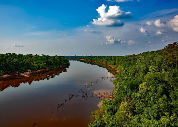 青岛现在敢去吗/青岛现在让去吗 青岛现在敢去吗/青岛现在让去吗