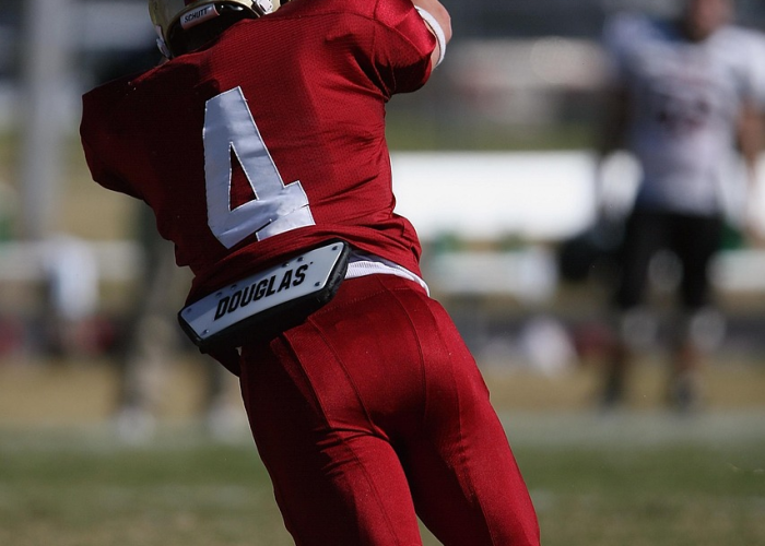 立陶宛队:立陶宛队球员名单 立陶宛队:立陶宛队球员名单