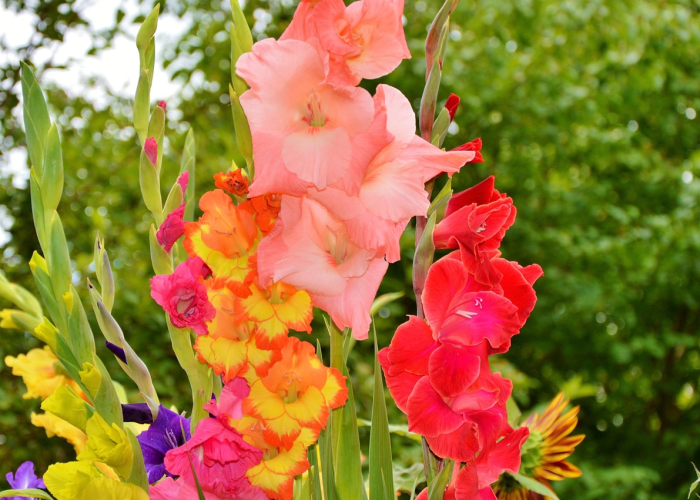 2022年4月日历图片/2021年4月日历表图片可爱 2022年4月日历图片/2021年4月日历表图片可爱