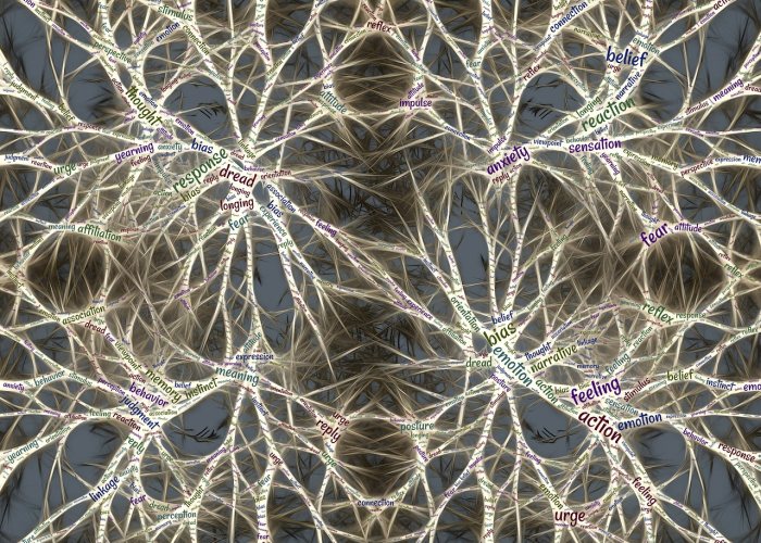 大兴疫情最新动态，精准防控下的挑战与希望