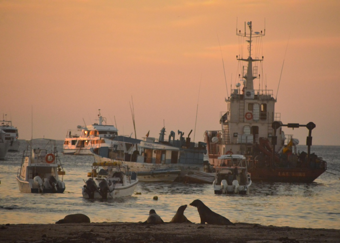 辽宁再响防疫警钟，两例本土确诊背后的防控新思考