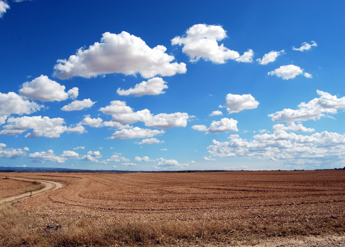 冬奥会2022年有多少国家参加:冬奥会2022年有多少国家参加了