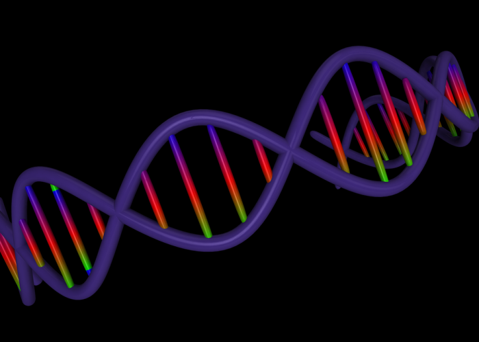 单基因病是什么意思?深入解析遗传密码中的隐形炸弹 单基因病是什么意思?深入解析遗传密码中的隐形炸弹