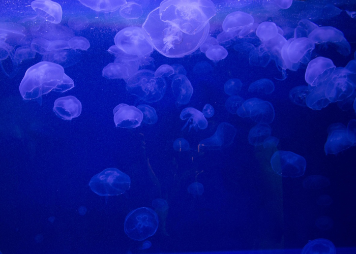 什么条件下全员核酸检测/什么情况下全员检测 什么条件下全员核酸检测/什么情况下全员检测