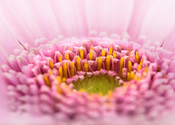 【斤斤计较是什么生肖?秒兔命里,斤斤计较打一最佳生肖】 【斤斤计较是什么生肖?秒兔命里,斤斤计较打一最佳生肖】