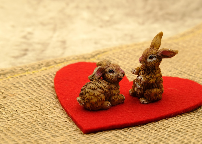 【斤斤计较是什么生肖?秒兔命里,斤斤计较打一最佳生肖】 【斤斤计较是什么生肖?秒兔命里,斤斤计较打一最佳生肖】