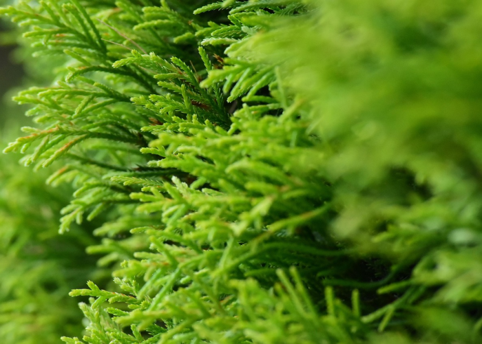 湖北疫情动态追踪,最新数据与防控措施全面解析 湖北疫情动态追踪,最新数据与防控措施全面解析