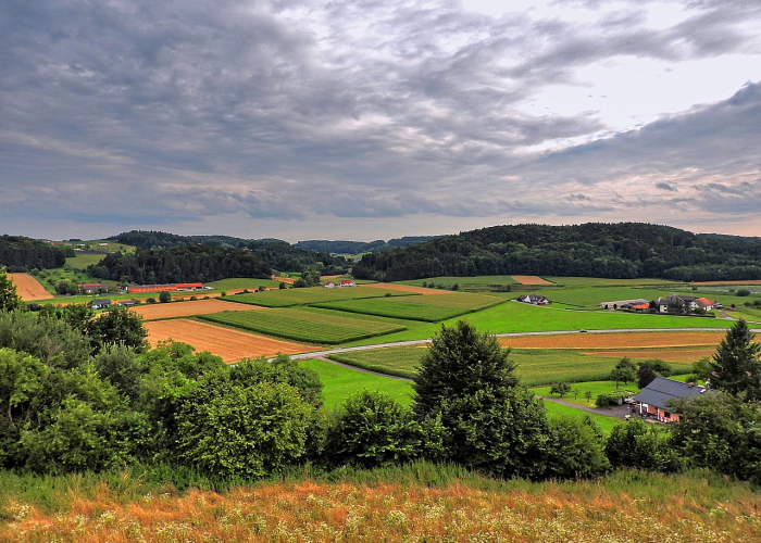 上海精准防控再升级,动态调整下的分区分类封闭管理策略解析 上海精准防控再升级,动态调整下的分区分类封闭管理策略解析