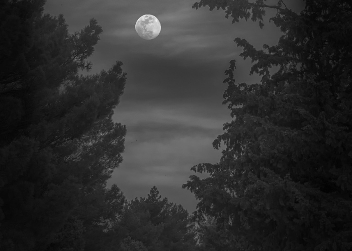 【10月中秋节是哪天,十月份中秋节是什么季节】 【10月中秋节是哪天,十月份中秋节是什么季节】