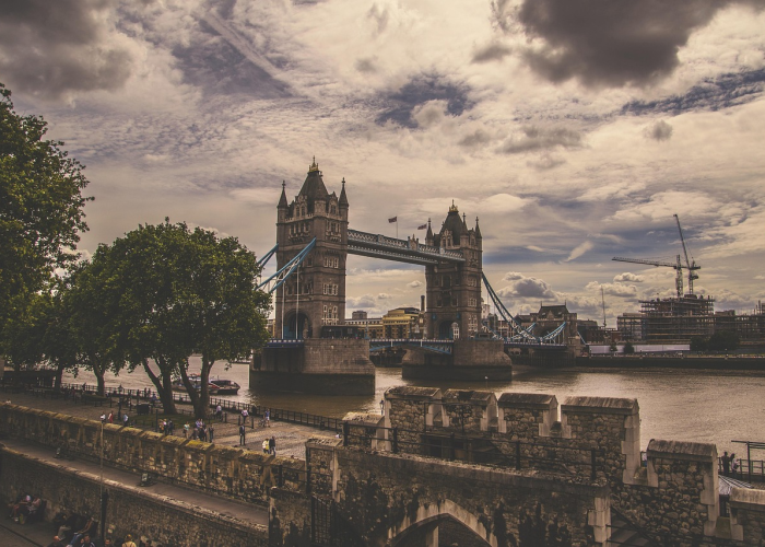 上海有多少人用英语表示?揭秘国际化都市的语言面貌 上海有多少人用英语表示?揭秘国际化都市的语言面貌