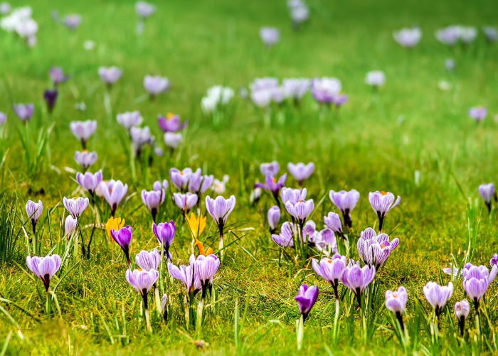 5月22是什么日子?（5月22是什么日子中国）