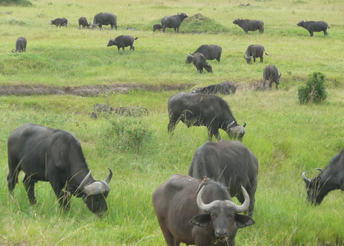 【遵化密切接触者名单/河北遵化急寻密接者】