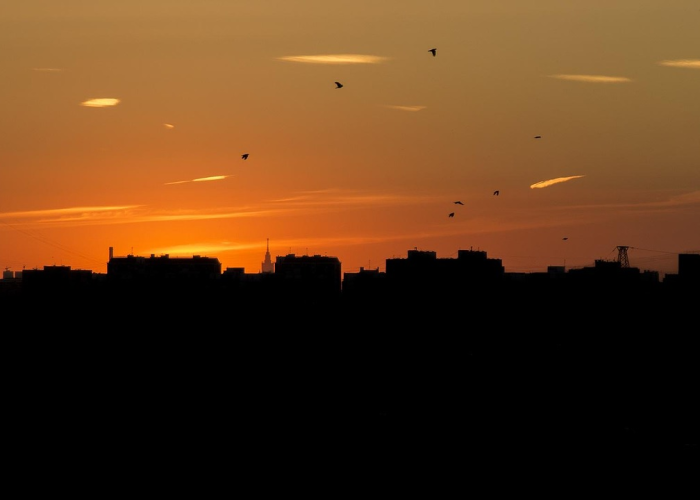 宜春战疫进行时,今日动态扫描与韧性城市的多维解析 宜春战疫进行时,今日动态扫描与韧性城市的多维解析
