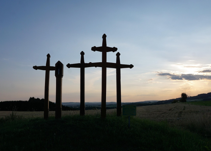 世卫组织称南美成为疫情新震中的什么:南美洲瘟疫 世卫组织称南美成为疫情新震中的什么:南美洲瘟疫