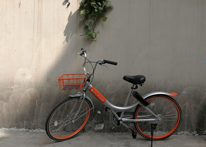 最省油的车排名前十，2024年省油神车大盘点，省钱又环保！