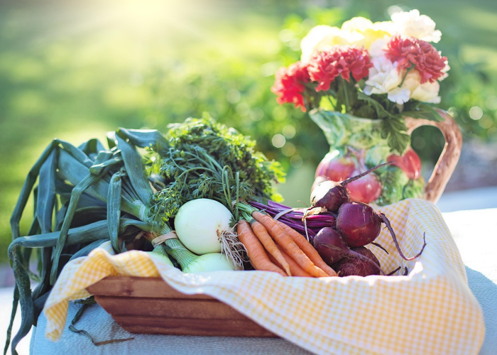 连云港市发布最新疫情动态,常态化监测下的精准防控与新阶段健康提示 连云港市发布最新疫情动态,常态化监测下的精准防控与新阶段健康提示