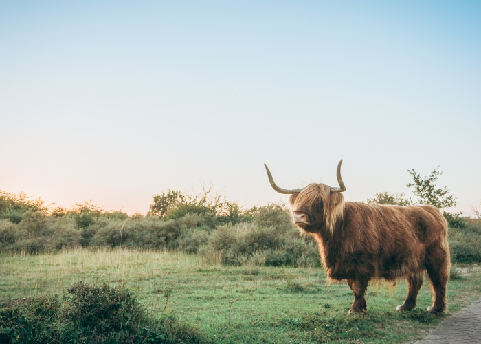上海最新发布的疫情通告/上海最新疫情通报 上海最新发布的疫情通告/上海最新疫情通报