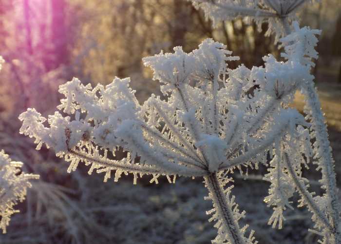 【合肥新冠肺炎最新通知,合肥新冠肺炎实时动态】 【合肥新冠肺炎最新通知,合肥新冠肺炎实时动态】