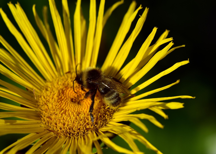 北京疫情新动态最新,精准防控下的城市韧性与民生温度 北京疫情新动态最新,精准防控下的城市韧性与民生温度