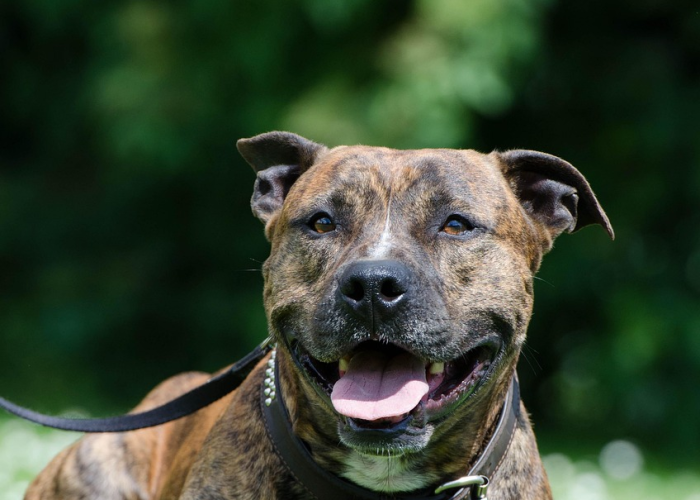 秒懂百科“微信房卡斗牛牛有挂吗”详细房卡使用教程 秒懂百科“微信房卡斗牛牛有挂吗”详细房卡使用教程