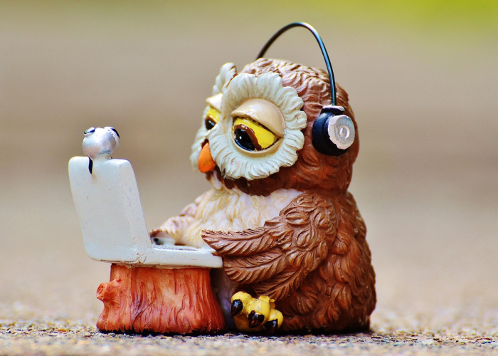 猫头鹰道具/猫头鹰技能 猫头鹰道具/猫头鹰技能