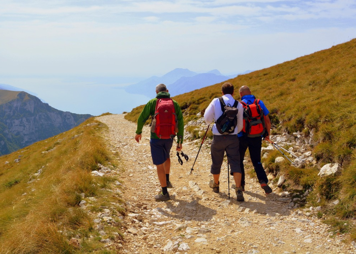 【最新肺炎消息通知/最新肺炎疫情动态】 【最新肺炎消息通知/最新肺炎疫情动态】