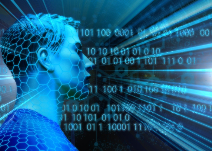 纽约,美国人口第一城的多元脉动与未来挑战 纽约,美国人口第一城的多元脉动与未来挑战