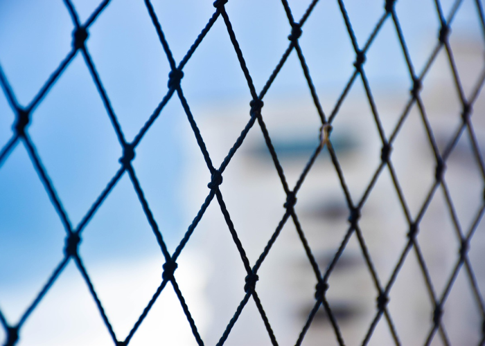 苏州今日疫情动态，精准防控下的城市坚守与希望