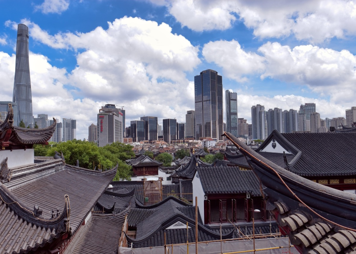 上海G1501，城市脉络中的隐形守护者