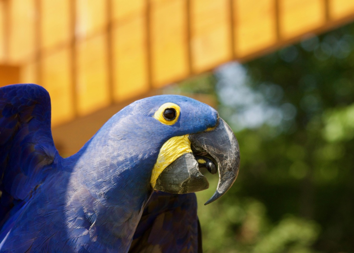 【扬州疫情2025最新消息/扬州疫情新动态】 【扬州疫情2025最新消息/扬州疫情新动态】