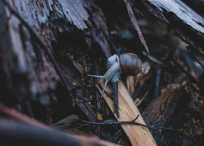天津最新疫情通报数据，精准防控下的动态清零之路