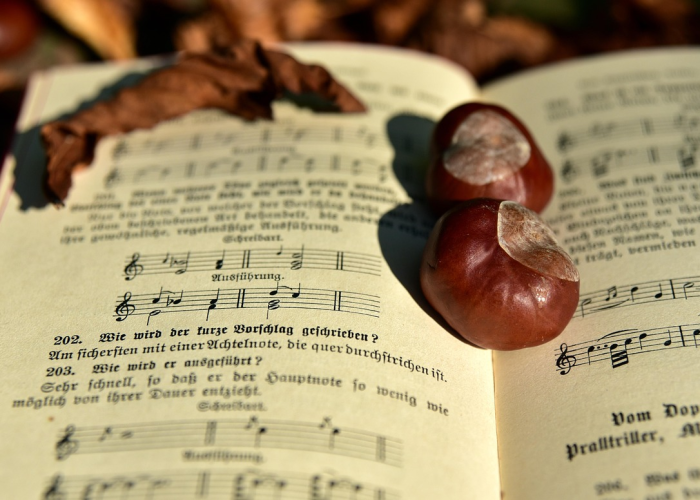 中考考试时间贰0贰伍年时间表，备考指南与时间规划全解析