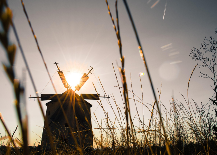 大春到几点/大春几点开始几点结束 大春到几点/大春几点开始几点结束