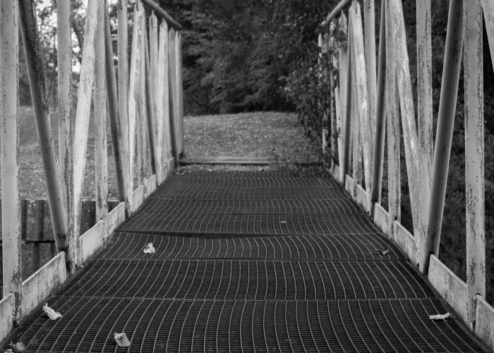 上海最新疫情中风险地区动态解析，精准防控下的城市守护行动