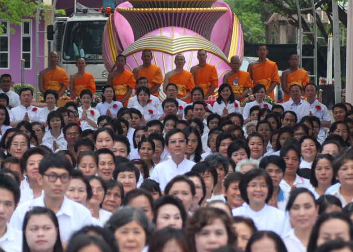 家人黄码:家人黄码自己会变黄吗