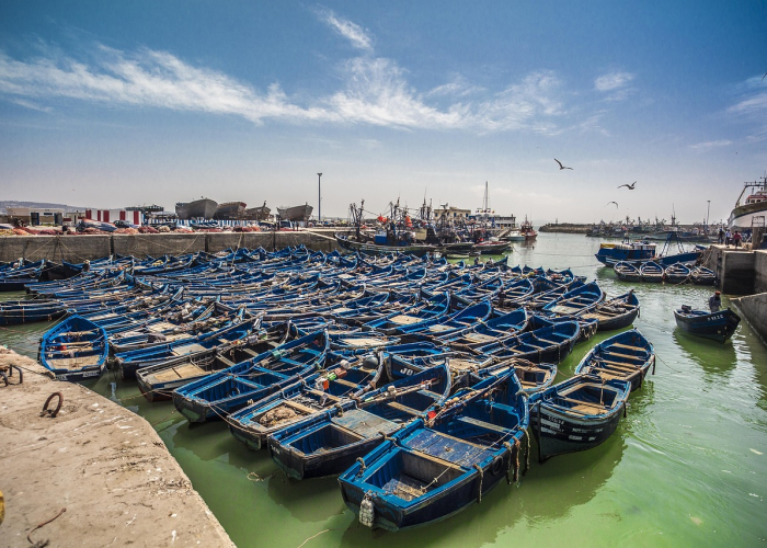 深圳什么时候解除封闭(深圳什么时候解除封城) 深圳什么时候解除封闭(深圳什么时候解除封城)