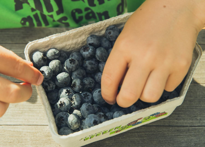 肇庆疫情后，寻觅蛇味美食的隐秘角落