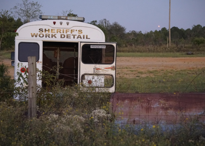 洛阳公安交通违章查询/洛阳市交警支队违章查询
