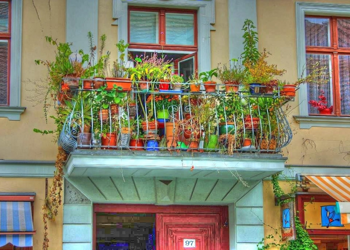 绍兴连锁超市门店排名/绍兴哪家超市最大 绍兴连锁超市门店排名/绍兴哪家超市最大