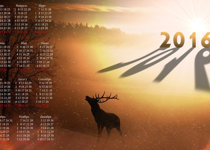 中秋节团圆夜，贰0贰贰年玖月壹0日，农历八月十五的难忘时刻