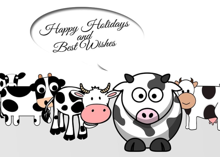 【开心赚挂机是真的吗,开心赚挂机是真是假?】 【开心赚挂机是真的吗,开心赚挂机是真是假?】