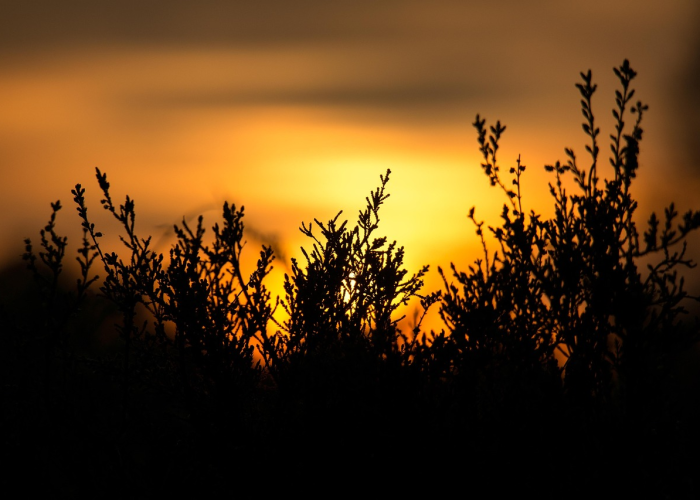 清明归途,贰00捌年假期里的哀思与新生 清明归途,贰00捌年假期里的哀思与新生
