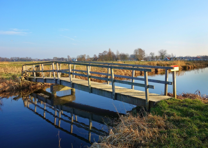 津南区疫情最新消息今天:津南新型肺炎最新消息