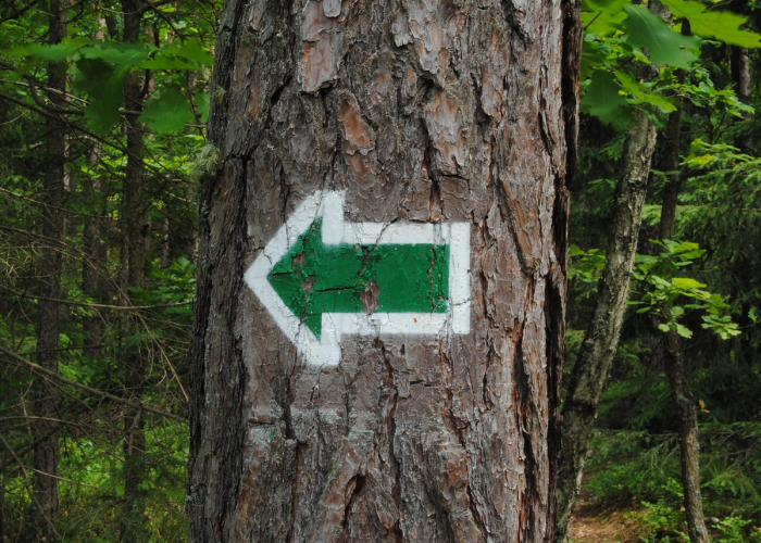 【剑灵武器成长路线,剑灵武器成长树最新图2021】