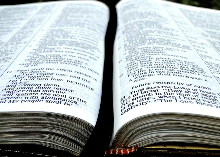 【河北区号,河北区号12345怎么打】 【河北区号,河北区号12345怎么打】