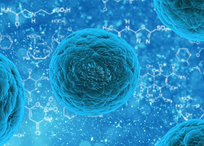 【猫是否会感染新型冠状病毒/猫会感染新冠肺炎吗】 【猫是否会感染新型冠状病毒/猫会感染新冠肺炎吗】